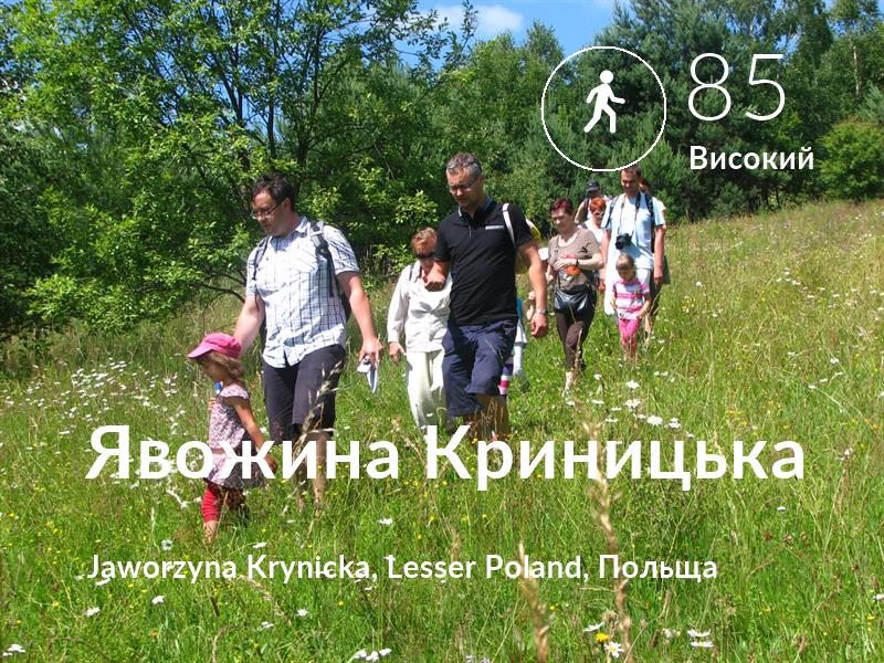 Прогулянка comfort level is 85 in Явожина Криницька