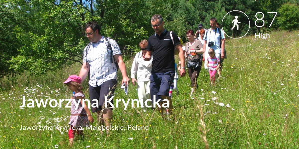 Walking comfort level is 87 in Jaworzyna Krynicka