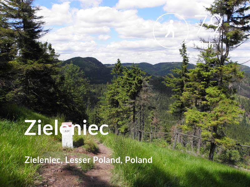 Walking comfort level is 79 in Zieleniec