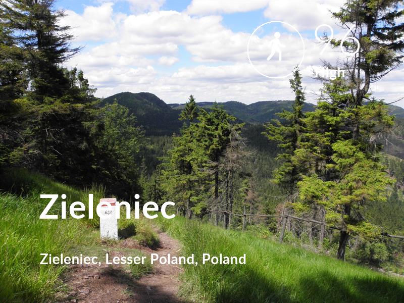 Walking comfort level is 96 in Zieleniec