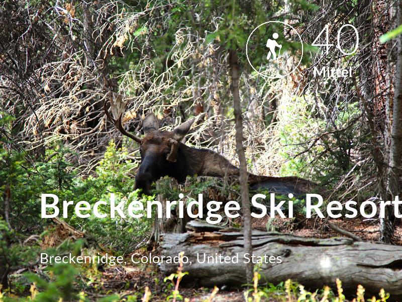 Hiking comfort level is 40 in Breckenridge Ski Resort