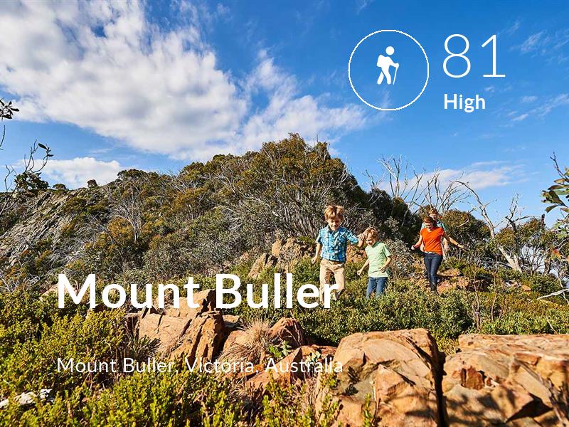Hiking comfort level is 81 in Mount Buller