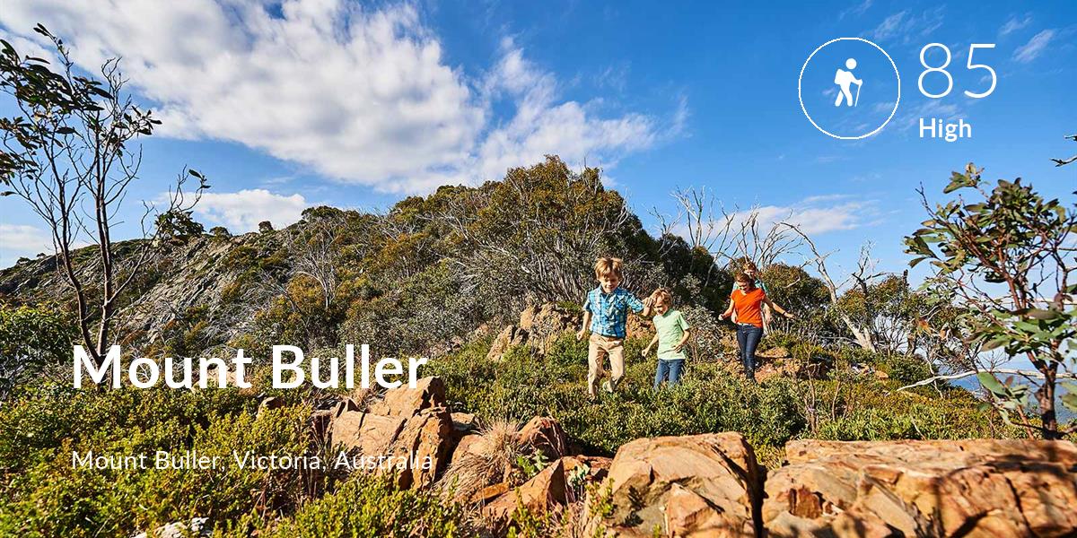 Hiking comfort level is 85 in Mount Buller