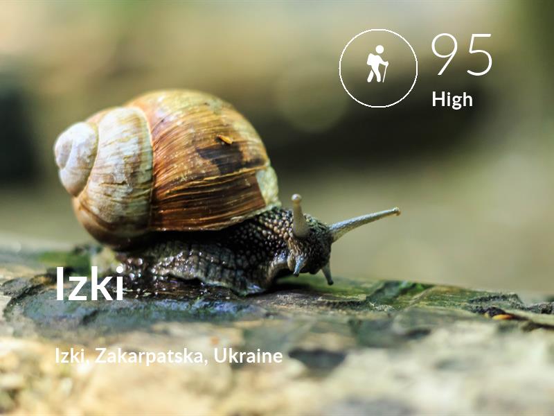 Hiking comfort level is 95 in Izki
